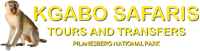logo-img